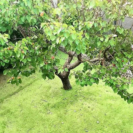T3 Jardin Terrasse 10 Mn De La Apartment *